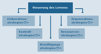 Steuerung & Koordination